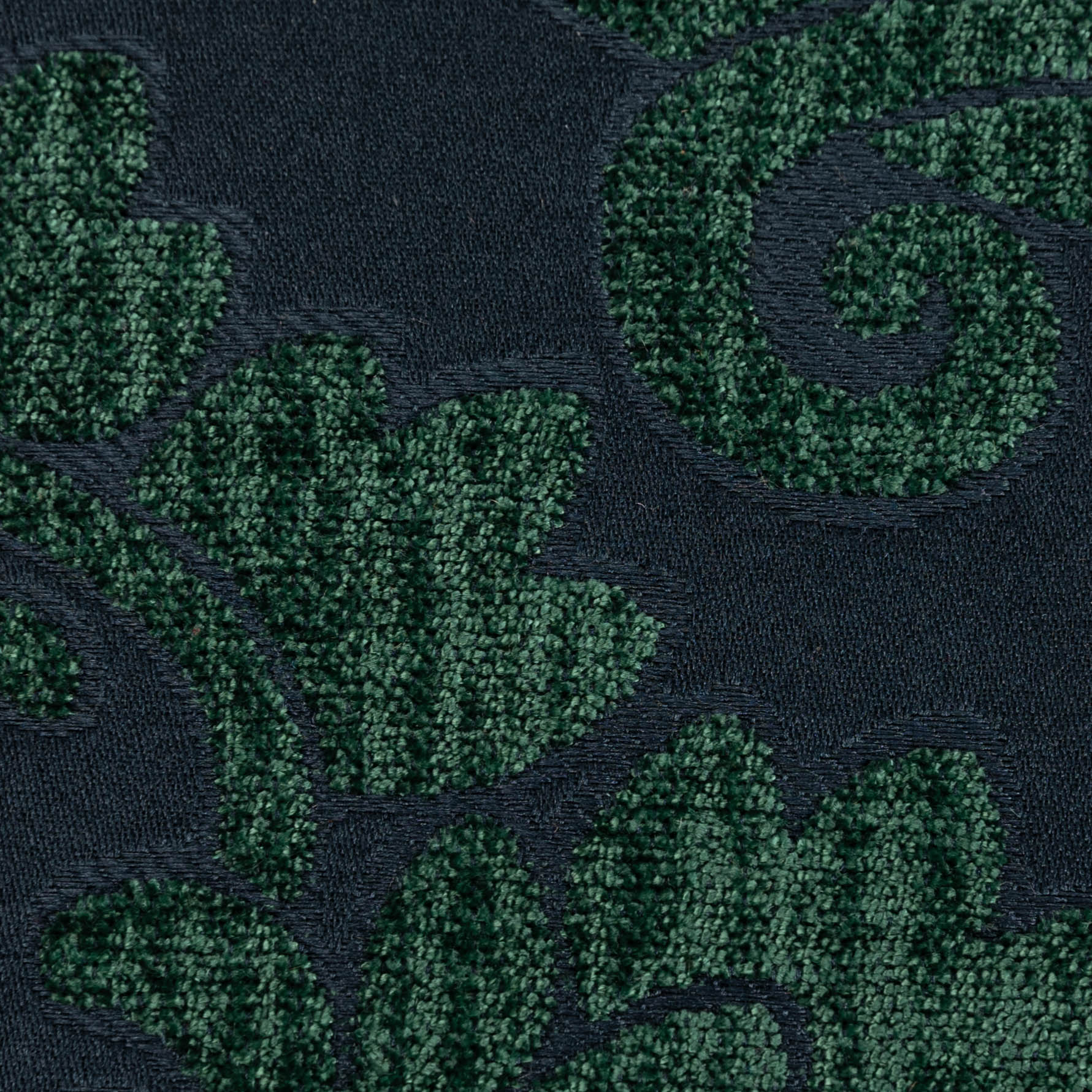 Queen Hunter Green Passport Cover - Image 5
